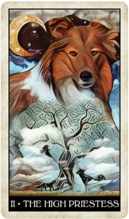 Wise Dog Tarot - The Witches' Almanac